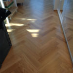 _0001_saneeraus-9